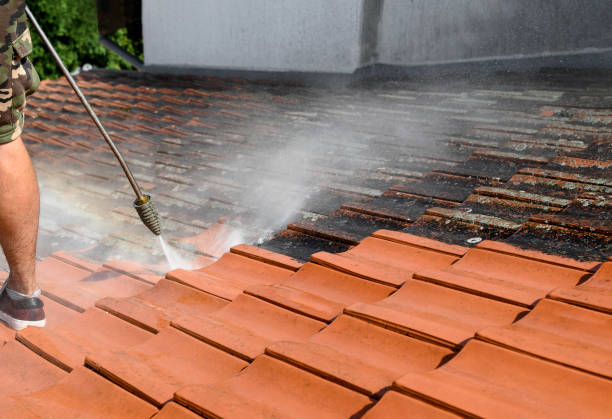 Best Affordable Power Washing  in Tamarac, FL